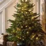 Why buy a real Christmas tree lit tree