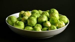 A plate of brussels sprouts