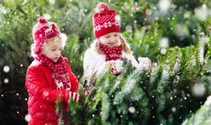 Children buying a real Christmas tree