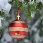 how many years does it take to grow a christmas tree