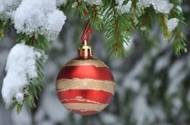 How long does it take to grow a Christmas tree? Tree with bauble.