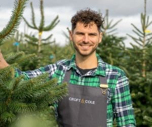 Grow a Christmas tree 