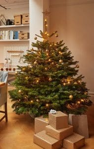 Grow a Christmas tree - decorated