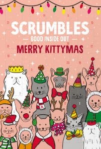 Christmas advent calendars for cats