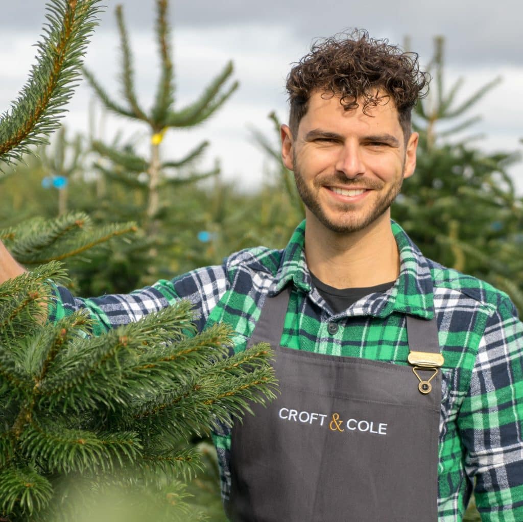 How to choose an online Christmas tree supplier All Things Christmas