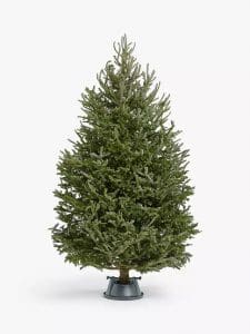 Online Christmas tree supplier retailers