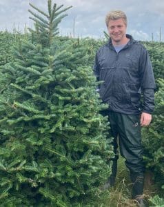 Online Christmas tree supplier 