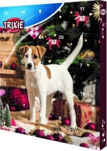 Why pet advent calendars make for great Christmas gifts