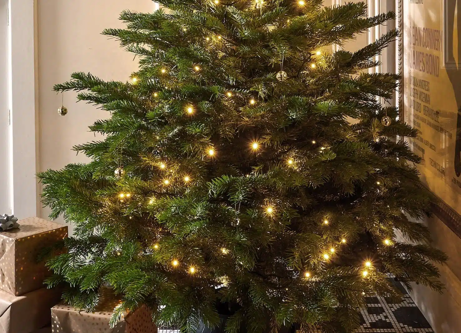 why buy a real christmas tree croft and cole trees christmas.co .uk main