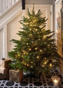 Why buy a real Christmas tree lit tree