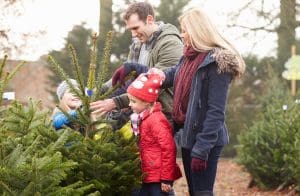 family choosing the best christmas tree outdoors
