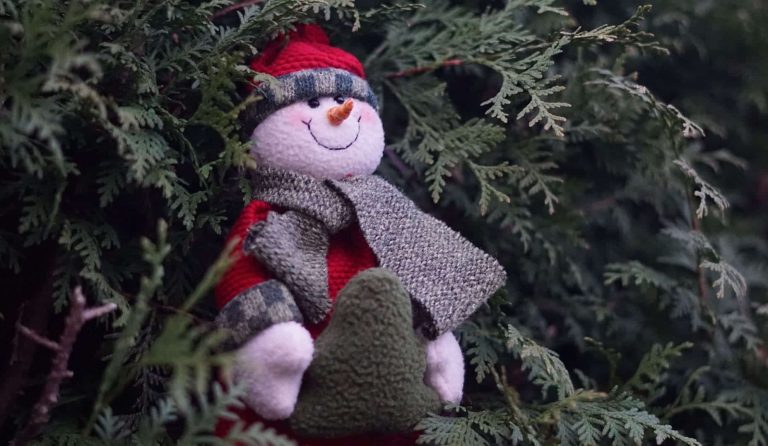 how much are christmas trees in 2022 christmas.co .uk 4