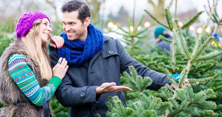 how to tell the difference between a good and bad christmas tree christmas.co .uk 
