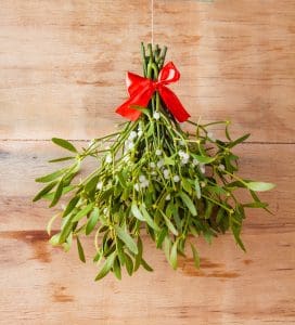Hanging mistletoe is part of the history of Christmas trees