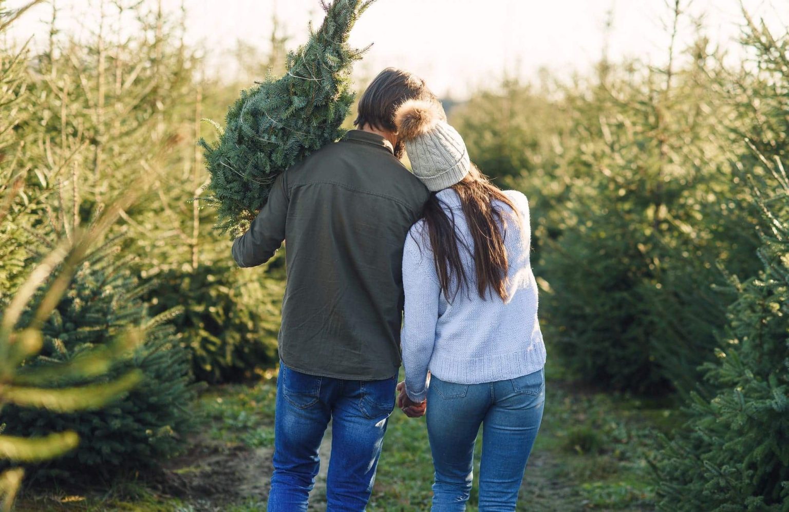 Which are the UK’s most popular Christmas trees? All Things Christmas