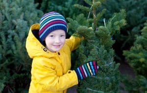 boy shopping for christmas trees