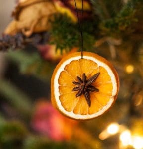 Pic of easy Christmas craft dried citrus fruit xmas tree decorations