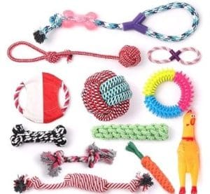 pic of 12 fog treats and toys Christmas gift ideas for dogs