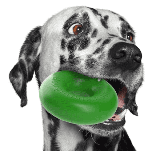 dog with a goughnuts toy - Christmas gift ideas for dogs