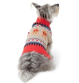 Dog wearing a festive jumper at Christmas
