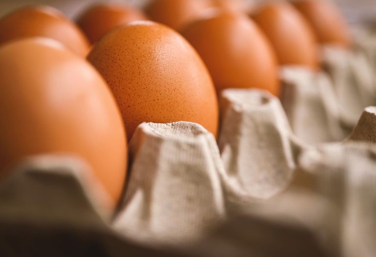 the ultimate christmas toolkit eggs christmas.co .uk