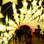 bedgebury pinetum festive light trail christmas.co .uk 1