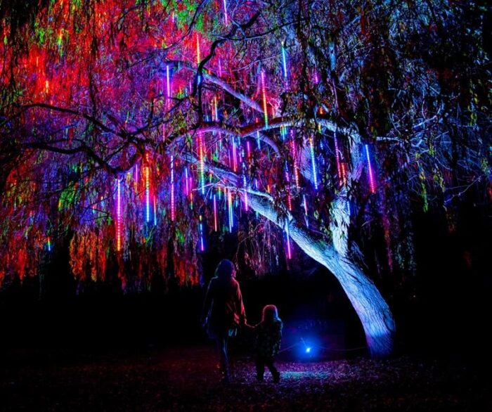 Belton House Christmas Lights 2026 - Christmas.co.uk