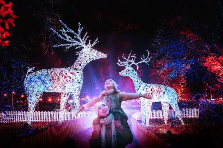 dunham massey christmas lights trail chrsitmas.co .uk 1