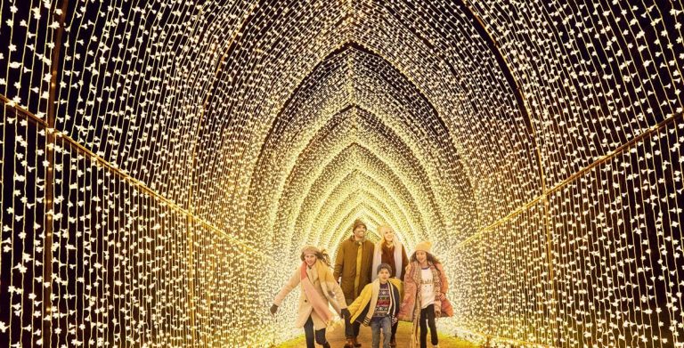 westonbirt arboretum christmas light trail 2024 christmas.co .uk 2