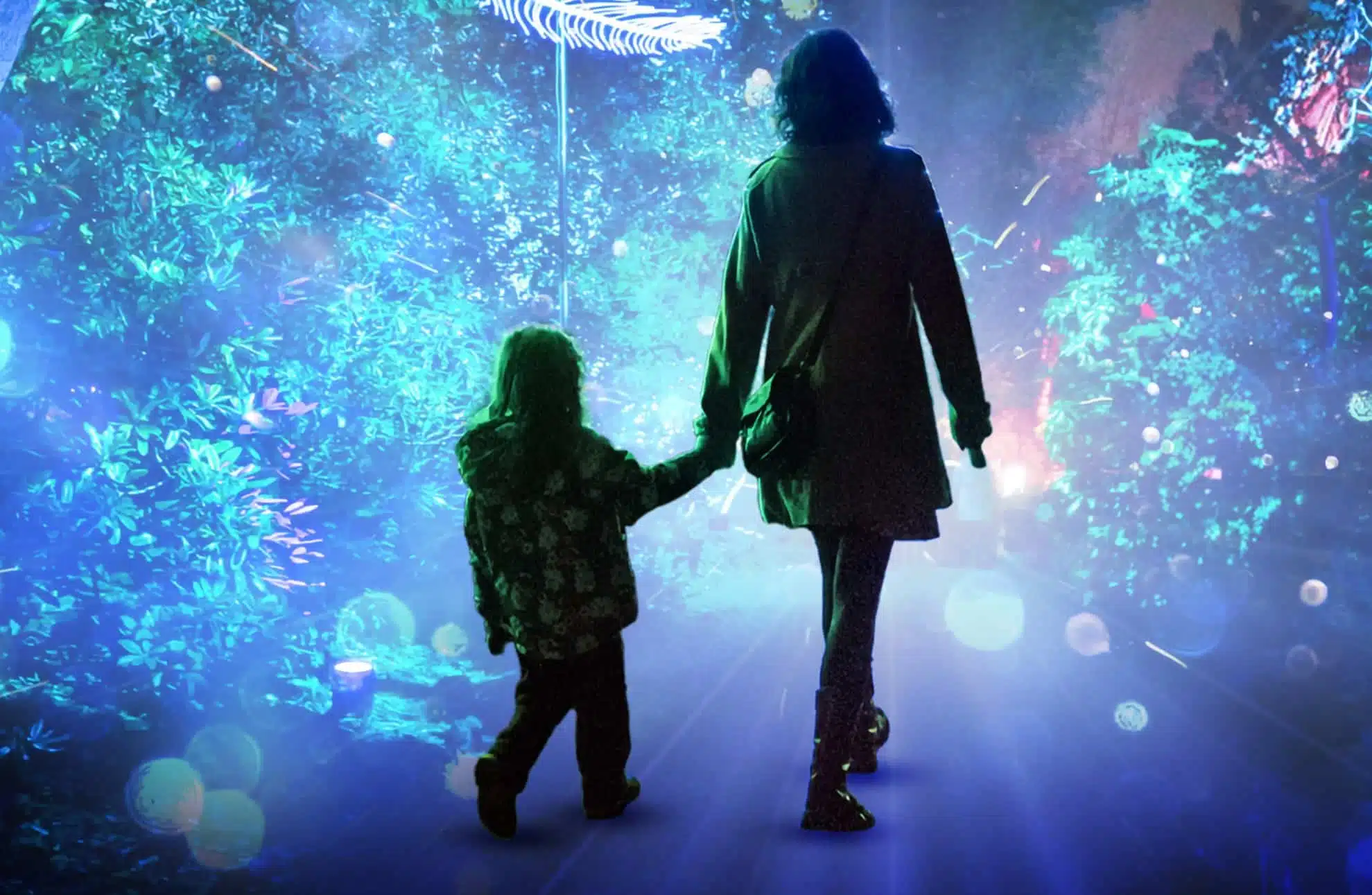 christmas experiences light shows christmas.co .uk