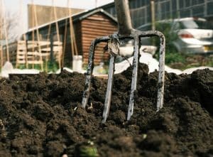 A picture of a gardening fork standing in the ground to illustrate a story about Christmas gifts for gardeners 