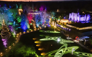 Hever Castle Christmas lights have a range of impressive creations