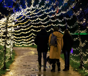 Hever Castle Christmas lights include this festive lit tunnel